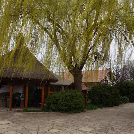 Szoloszem Farm Ośrodek wypoczynkowy Tiszaszolos