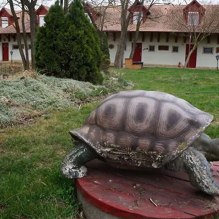 Ośrodek wypoczynkowy Szoloszem Farm *
