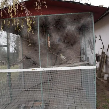 Szoloszem Farm Ośrodek wypoczynkowy *